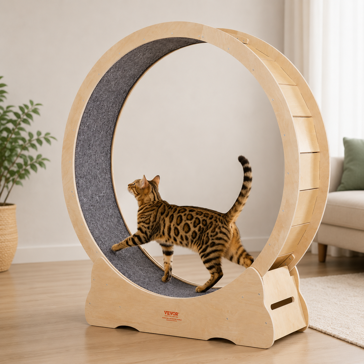 Katzenlaufrad XXL aus Birkenholz | Leise & Stabil | Für große Katzen bis 14 kg